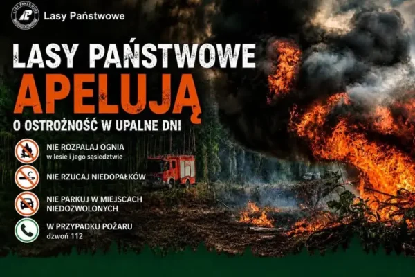 Uwaga na pożary w lasach! Apel o rozwagę podczas upałów