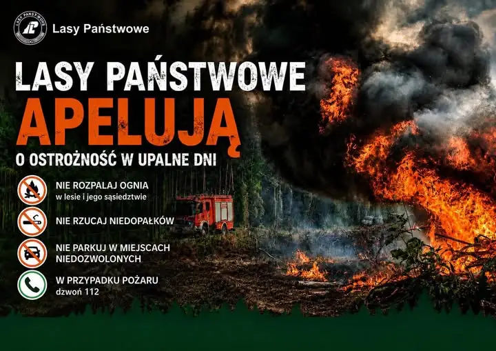 Uwaga na pożary w lasach! Apel o rozwagę podczas upałów