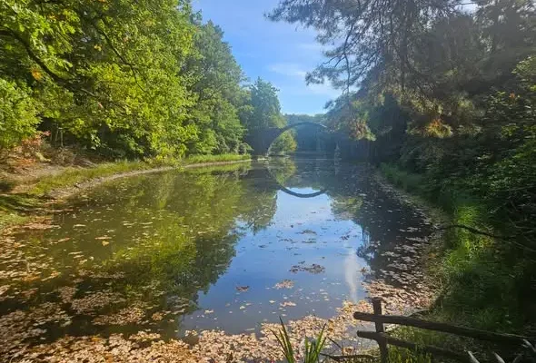 Uczniowie z Bogatyni odwiedzili partnerską szkołę w Weißwasser