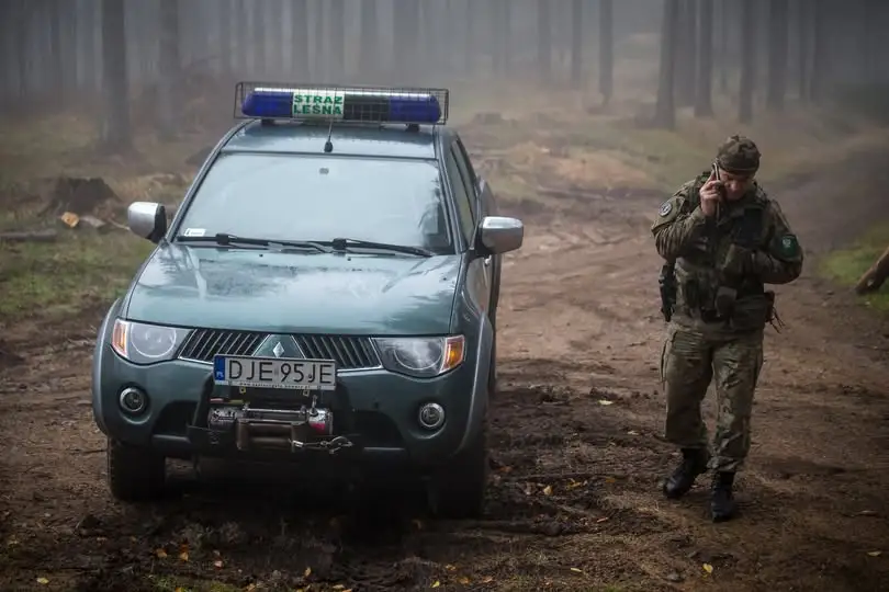 Straż Leśna kontra nielegalny stroisz – rusza akcja „Stroisz 26”