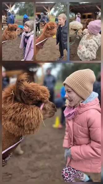 Klasa 3b ze Szkoły Podstawowej nr 2 w Zgorzelcu na wycieczce w Alpaczym Ranczu w Iłowej